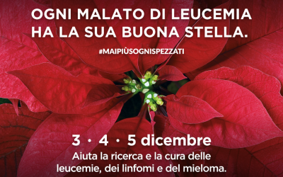 Tornano le STELLE AIL