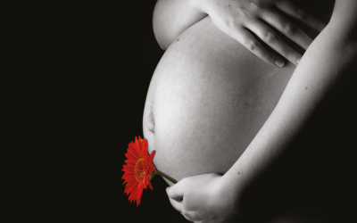 RACCOLTA SANGUE CORDONE OMBELICALE